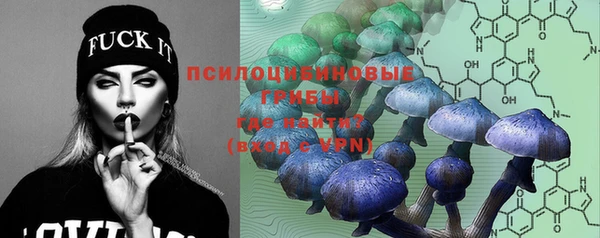 дживик Покачи