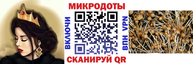 Галлюциногенные грибы ЛСД  Купить где  Избербаш 